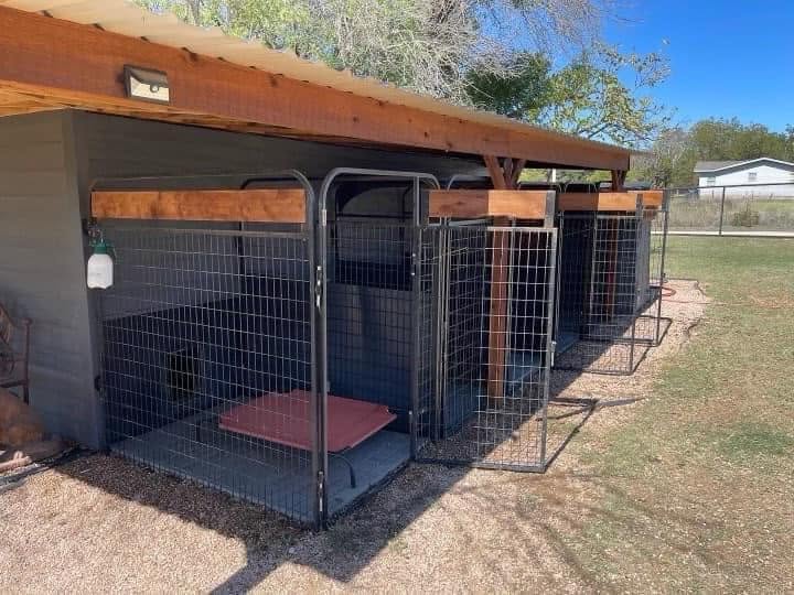 Professional pet care facility